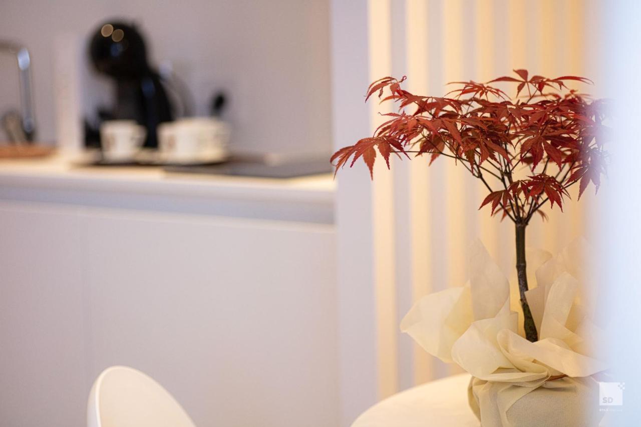 The Lady C - High Apartments トロペーア エクステリア 写真